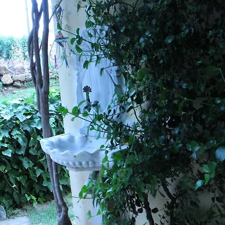 Stone House With Garden In Cunda/ayvalik Holiday home Ayvalik